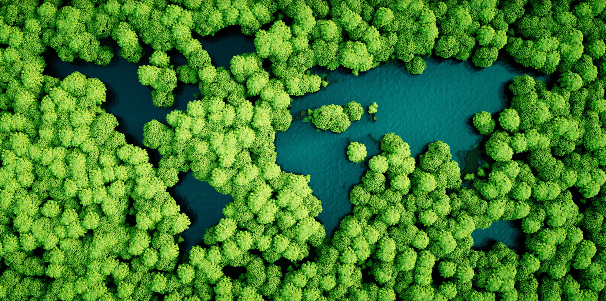 Forto Biofuels Sustainability